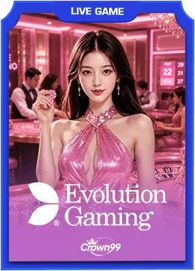 Evolution Gaming live casino provider