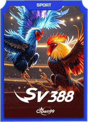 SV388 sports provider
