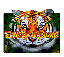 Eyes of Fortune slot game