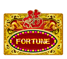 Fortune slot game