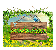Irish Luck slot game
