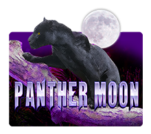 Panther Moon slot game