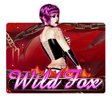 Wild Fox slot game